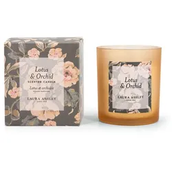 Laura Ashley Duftkerzen  Glas Orange