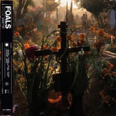 Everything Not Saved Will Be Lost Pt.2 - Foals, Vinyl