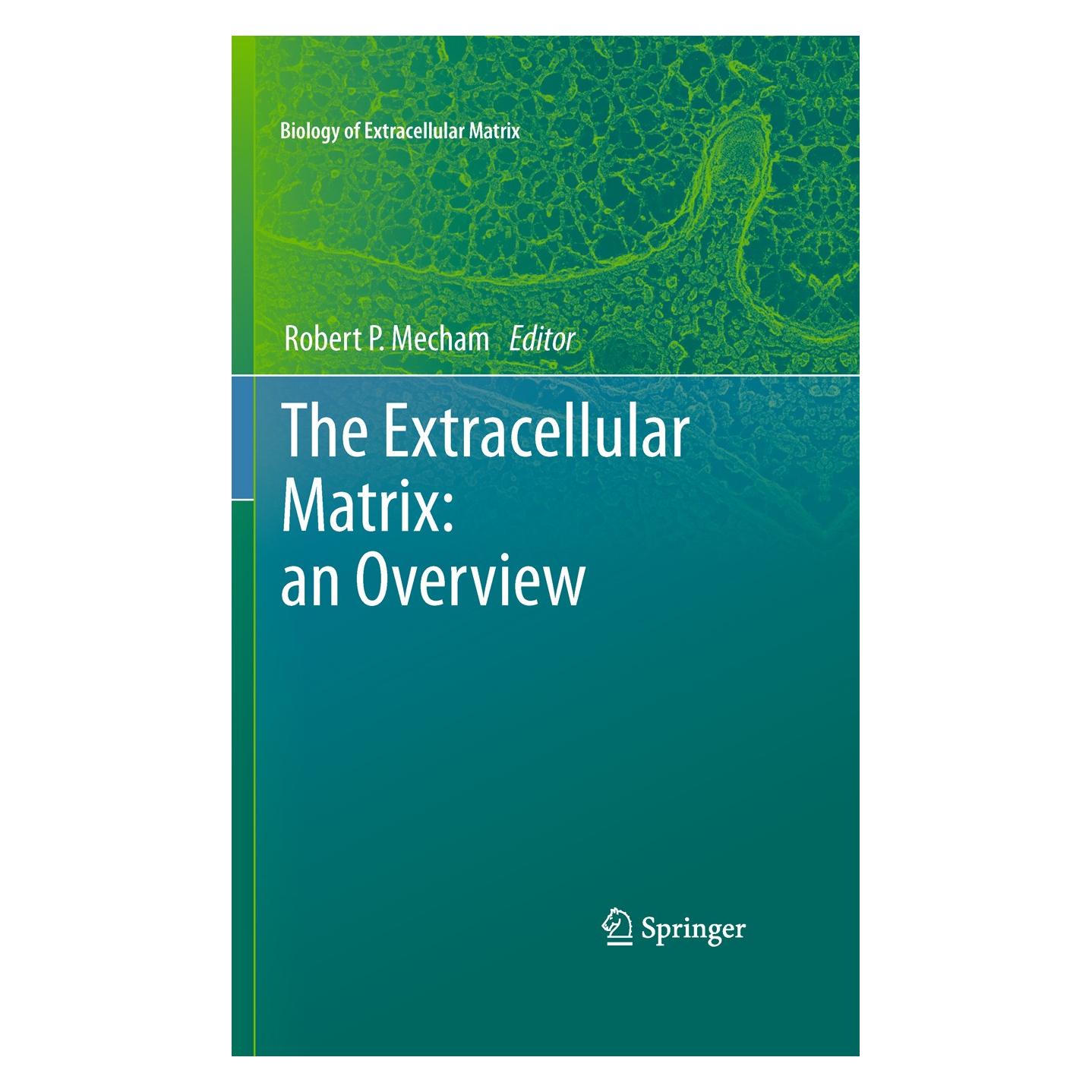 Springer The Extracellular Matrix: an Overview (Englisch, Hardcover, Robert P. Mecham) (9783642165542)