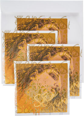 Pirastro Evah Pirazzi Slap Strings Set