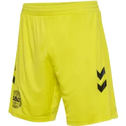 hummel, Unisex, Sporthose, Torwartshort Dänemark 2024 (L), Gelb