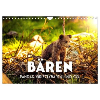 Bären - Pandas, Grizzlybären und Co. (Wandkalender 2027 DIN A4 quer), CALVENDO Monatskalender