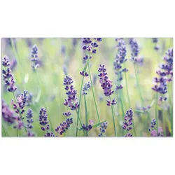 Wallario Herdabdeckplatte 60 x 52 cm (BxH), 2-teilig Lila Blumenfreude - Violette Pflanzen auf der Wiese