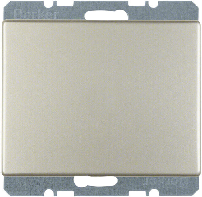 Berker Cache aveugle eds avec pièce centrale 10457004 (10457004)