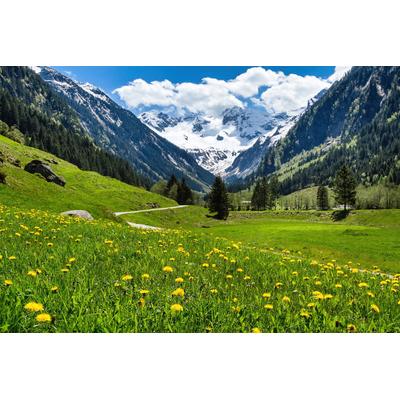 Fototapete PAPERMOON "ALPEN TIROL GEBIRGE", bunt, B:4m L:2,6m, Vlies, Tapeten