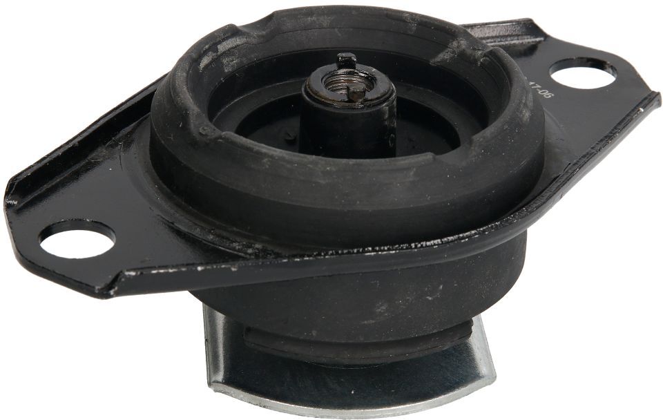 Reinhoch Supporto motore RH11-1030