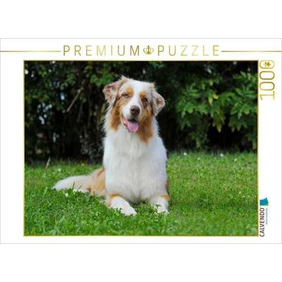 CALVENDO Puzzle Ein Motiv aus dem Kalender Bekannt wie ein bunter Hund. Australian Shepherd - Familienplaner hoch | 1000 Teile Lege-Größe 64x48cm Foto