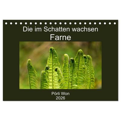 Die im Schatten wachsen - Farne (Tischkalender 2026 DIN A5 quer), CALVENDO Monatskalender