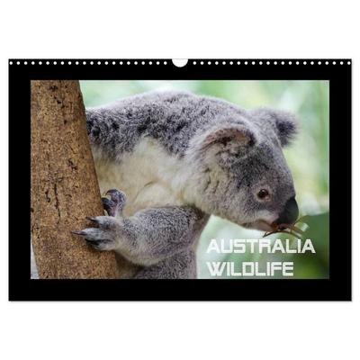 Australia Wildlife (Wandkalender 2026 DIN A3 quer), CALVENDO Monatskalender