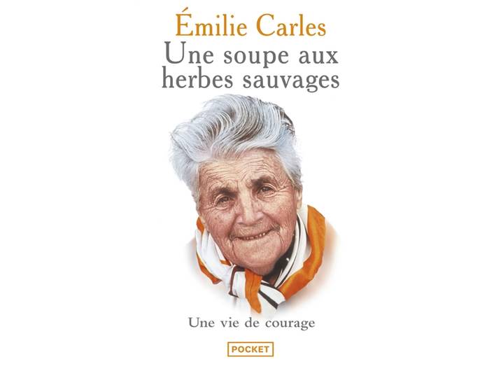Une soupe aux herbes sauvages (Poche)