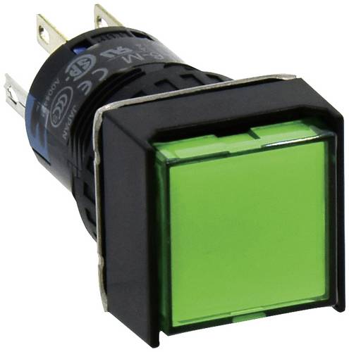 Idec AL6Q-A24P-G AL6Q-A24P-G Leuchtdrucktaster 250V 1A 2 x Ein/Ein rastend Grün IP65 1St.