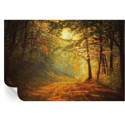 FOTOTAPETE 104x70 cm - Herbstlandschaft