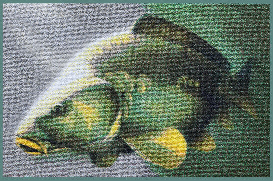 Delphin Paillason 3D carpe 60x40cm Gray, Silver, Green 60x40cm
