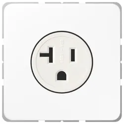 Jung Steckdose US-Norm NEMA CD 521-20 WW