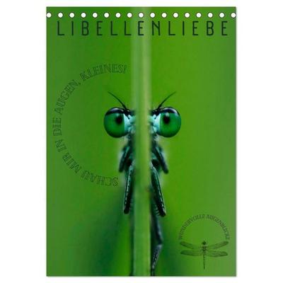 LibellenLiebe - Schau mir in die Augen, Kleines! (Tischkalender 2027 DIN A5 hoch), CALVENDO Monatskalender