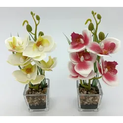 Kunstpflanze ORCHIDEE (DH 5x21 cm) - DH 5x21 cm