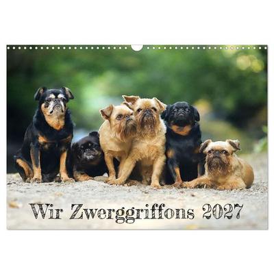 Wir Zwerggriffons 2027 (Wandkalender 2027 DIN A3 quer), CALVENDO Monatskalender