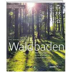 Waldbaden, Reisebücher von Robert Gallmann, Yoshifumi Miyazaki