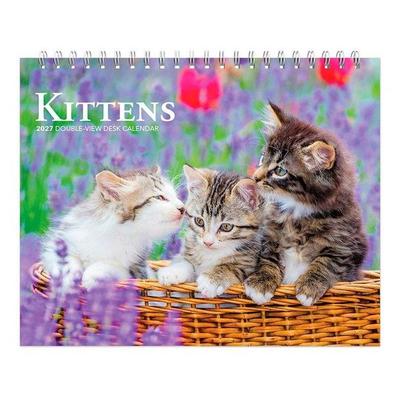 Kittens 2027 7.5 X 6 Inch Monthly Double-View Easel Desk Calendar