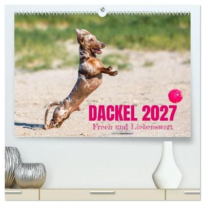 DACKEL 2027 Frech und Liebenwert (hochwertiger Premium Wandkalender 2027 DIN A2 quer), Kunstdruck in Hochglanz