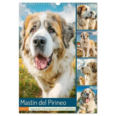 Mastín del Pirineo. Imposantes Schwergewicht mit Knuddelfaktor (Wandkalender 2027 DIN A3 hoch), CALVENDO Monatskalender