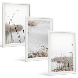 BILDER SET 3er Set - 40x60 cm Weißer Rahmen - Wasserpflanzen im Sommer