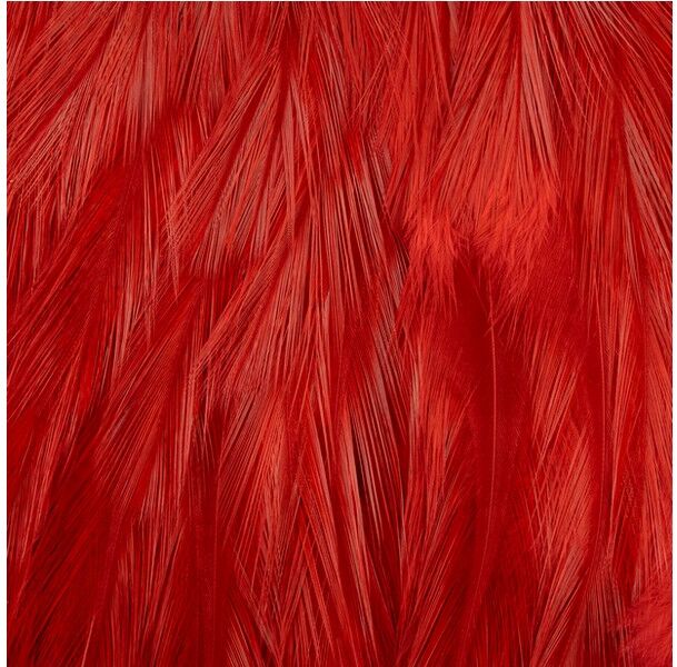 Futurefly Rooster Saddle-Red