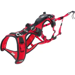 i-DOG Confort Trek (XXS, Hund, Hundesport, Spazieren), Halsband + Leine