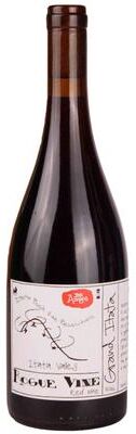 """Rogue Vine""" """Rogue Vine Grand Itata Tinto 2022 Red Wine - Chile"""