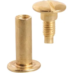 100 Buchschrauben, Messing Hülse glatt, Schraube geschlitzt | 19 mm, Metall, gold