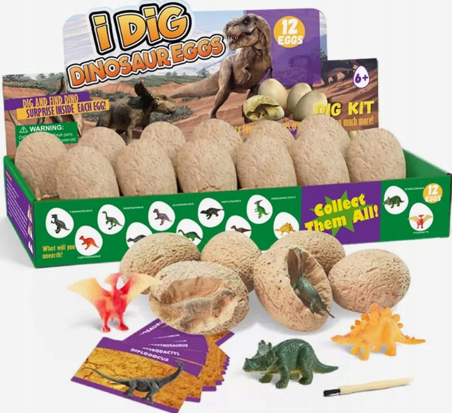 Dinosaurus Eieren Opgegraven: 12 Stuks Educatieve Archeologie Set