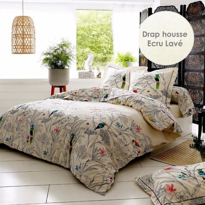 Drap housse 100% coton Tradilinge uni ÉCRU LAVÉ (Amazonia) (Couleur : Ecru lavé)