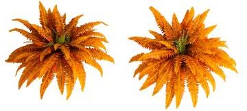Nearly Natural 40-in Autumn Artificial Fall Boston Fern - Set of 2 - Green
