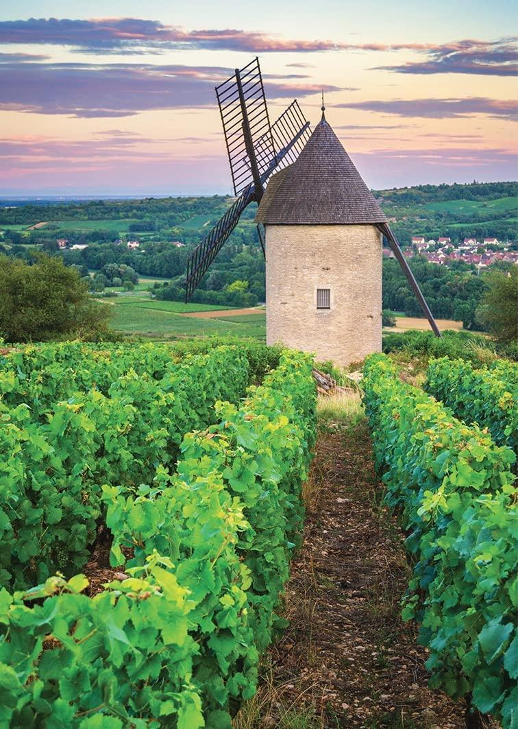 Nathan Puzzel Moulin Sorine Weinberg van Santenay Bourgondië 1000 stukjes