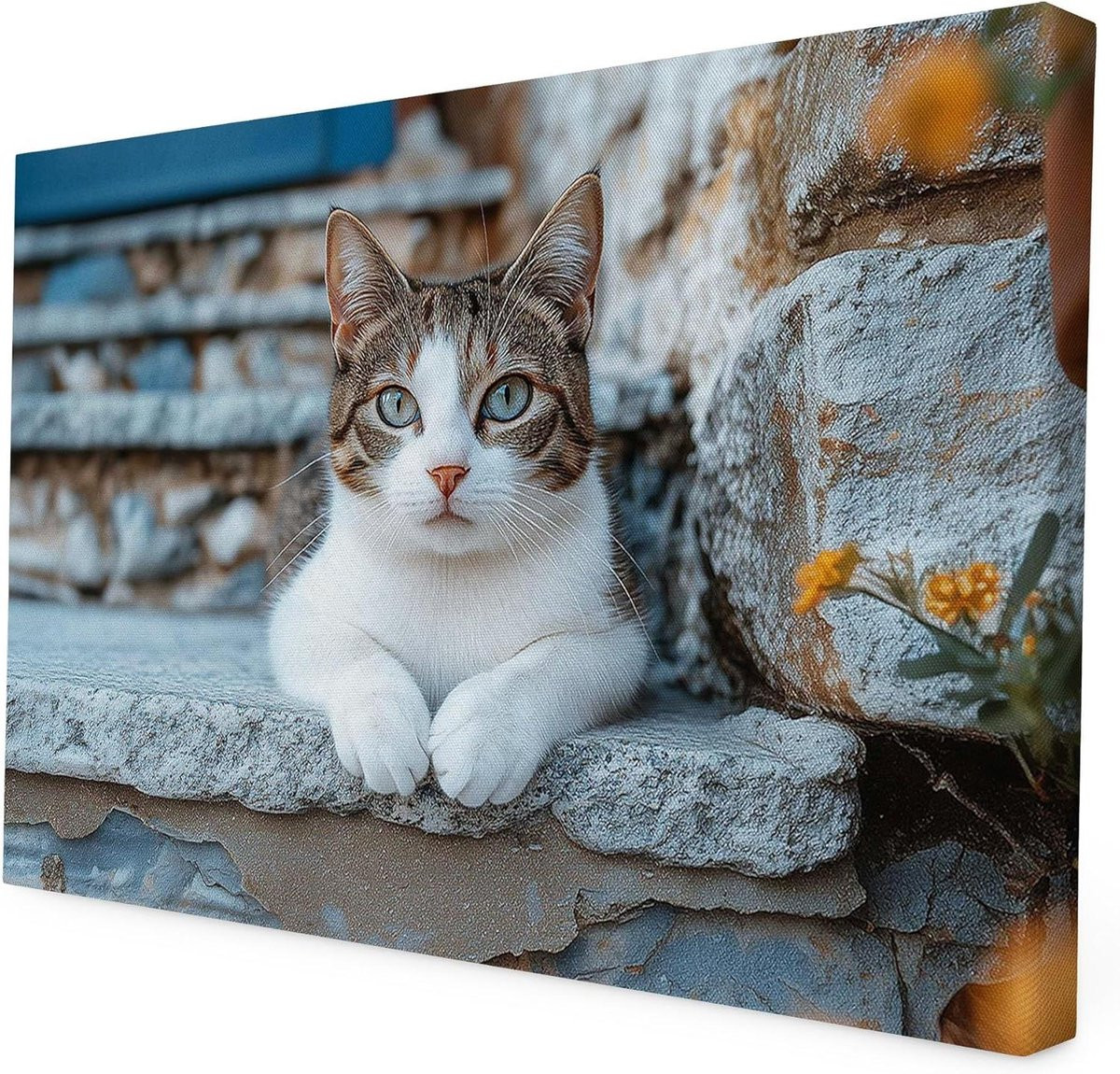 Canvas Schilderij Kat Buiten - Muurdecoratie met Illustratie - 30 x 20 cm