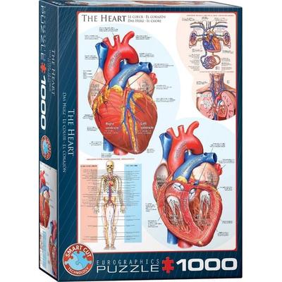 Das Herz 1000 Teile
