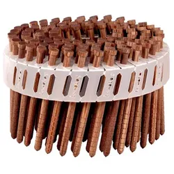 Beck LIGNOLOC Holznägel stumpf, ring mit Kopf im Plastikband 15°...