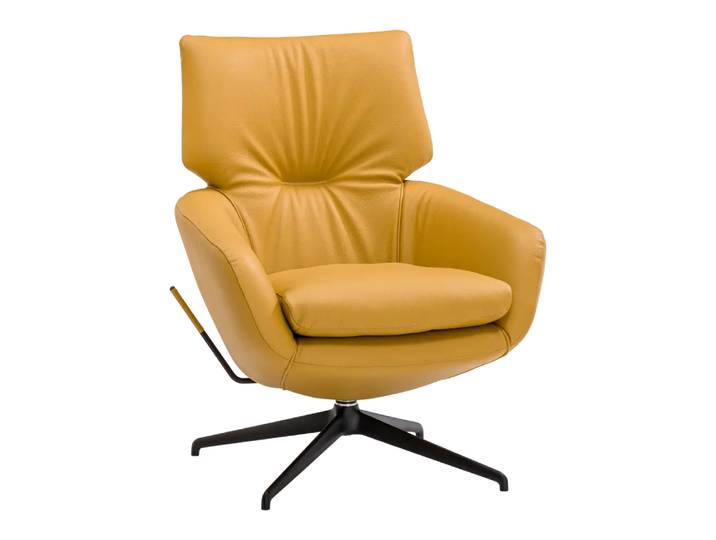 Sessel Lloyd, Leolux, senso amber, Leder