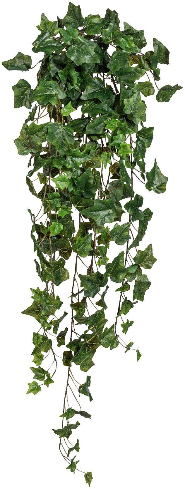Kunstranke CREATIV GREEN "Englischer Efeuhänger", grün, H:100cm, Kunststoff, Polyester, Kunstpflanzen