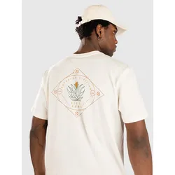 Billabong Agave Adiv Premium T-Shirt off white Gr. XL