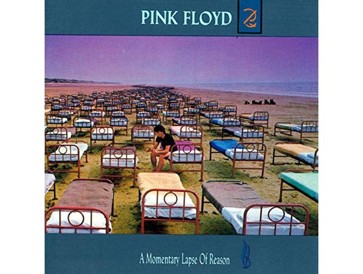 Momentary Lapse of Reason