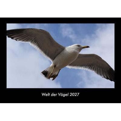 Welt der Vögel 2027 Fotokalender DIN A3