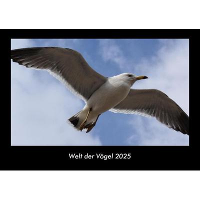 Welt der Vögel 2025 Fotokalender DIN A3