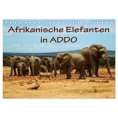 Afrikanische Elefanten in ADDO (Tischkalender 2027 DIN A5 quer), CALVENDO Monatskalender