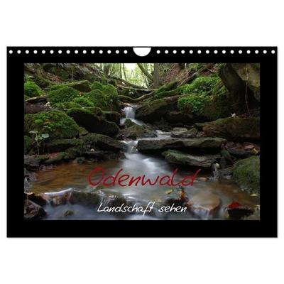 Odenwald - Landschaft sehen (Wandkalender 2026 DIN A4 quer), CALVENDO Monatskalender