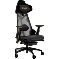 ROG Destrier Edition 20, Gaming-Stuhl schwarz/gold, mobile Gaming-Armstützmodus, Akustikpaneel