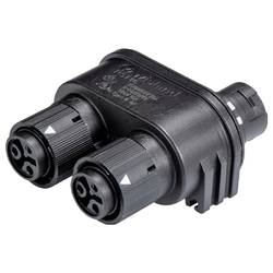 Wieland Electric 46.030.1254.1 Verteiler