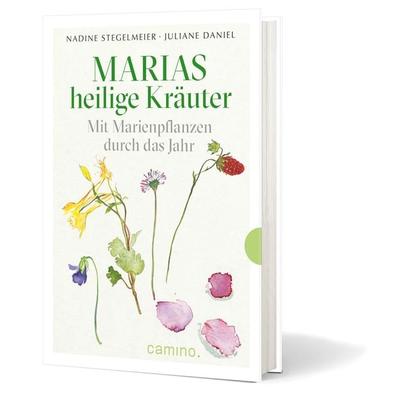 Marias heilige Kräuter, Taschenbuch von Nadine Stegelmeier,Juliane Daniel, Camino, 978-3-96157-192-5