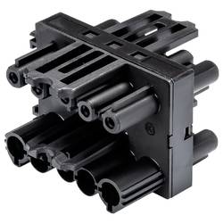 Wieland Electric 92.050.6953.1 Verteiler