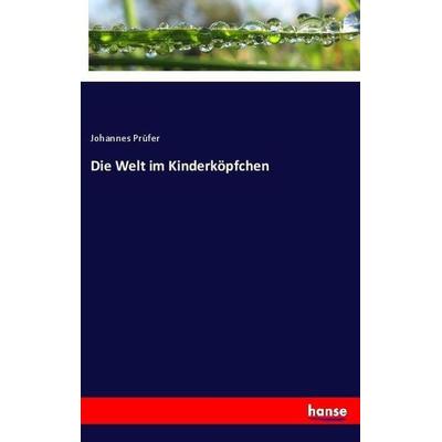 Die Welt im Kinderköpfchen, Taschenbuch von Johannes Prüfer, Hansebooks, 978-3-337-36069-6